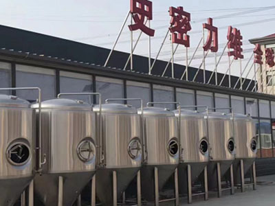 波密精酿啤酒设备厂—如何判断精酿啤酒设备的密封件需要更换？
